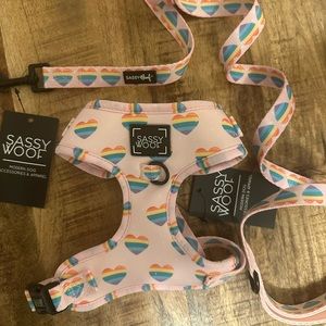 Sassy woof harness and leash never worn!